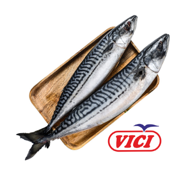 „ვიჩი“  სკუმბრია 900 გ 
