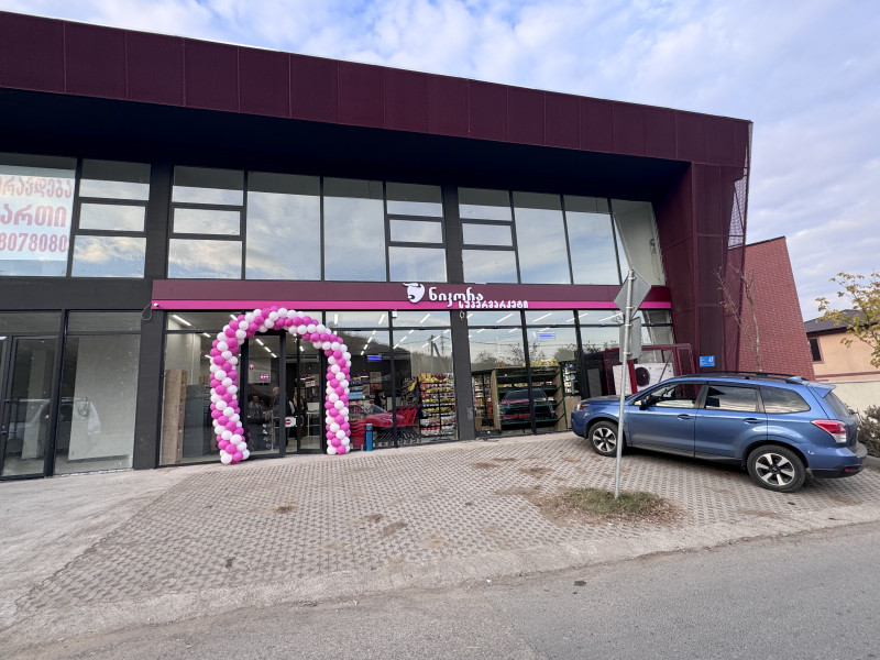 ქ. თბილისი, ს. თხინვალა, კეჭაყმაძის 47 #856
