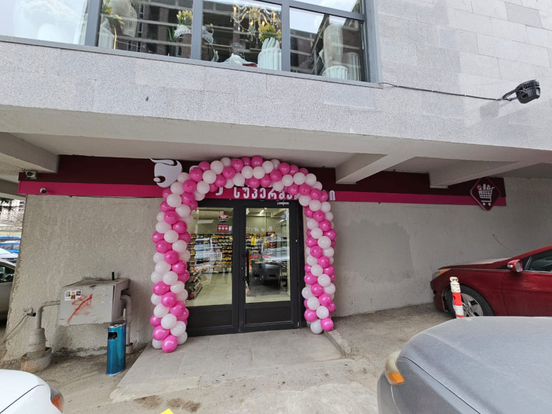 ქ. თბილისი, ვ. გოძიაშვილის ქ.38 #859
