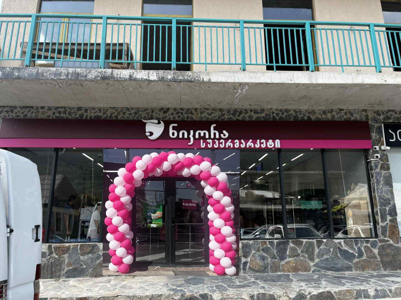 დ. მესტია, ფარჯიანის ქ. ს.კ.38/155 #881
